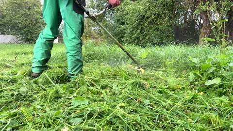 Untitled Project Stock Footage 251524495