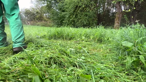 Untitled Project Stock Footage 251524515