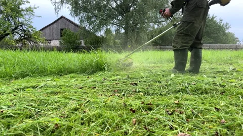 Untitled Project Stock Footage 251524648