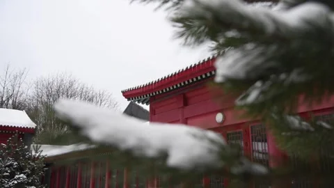 Untitled Project Stock Footage 298989802