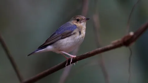 Untitled Project Vidéo 304263634