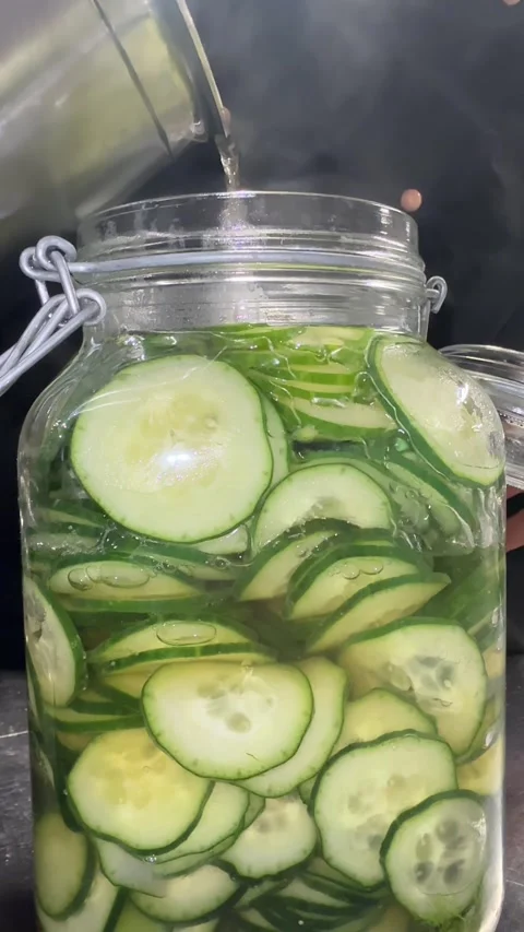 Untitled Project Vídeo Stock 309879496