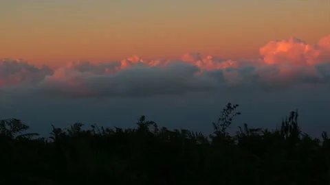 Untitled ProjectClouds on sunset and silhouette of grass. Stock Footage 144209553