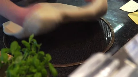 Untitled00000166 Video stock 172068221