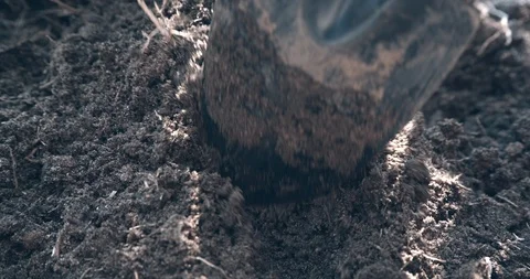 Untitled00056412 Stock Footage 96374371