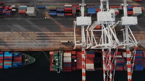 Untitled00092456 Stock Footage 113205428