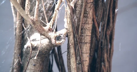 Untitled00115420 Stock Footage 96375616