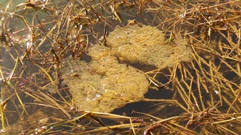 Untitled00741768 스톡 동영상 175426737