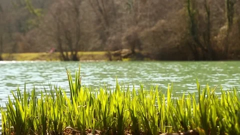 Untitled00754475 스톡 동영상 175433702