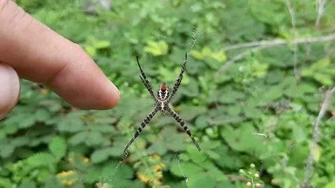 Untouchable Stock Footage 237754775