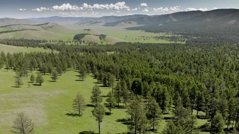 Untouched Mongolian forest steppe - Remote Plains and Natural Environment Stock Footage 339721655