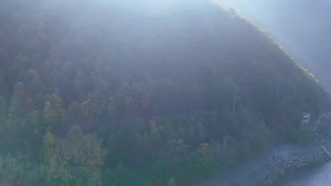 Untouched Nature Stock Footage 317208246