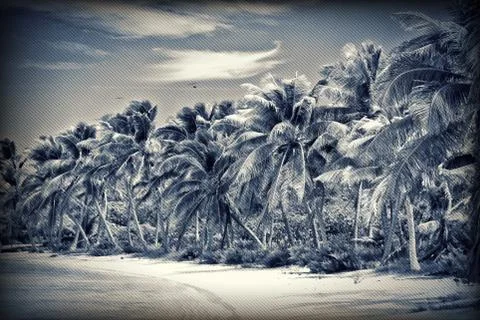 Untouched tropical beach Stock Illustration