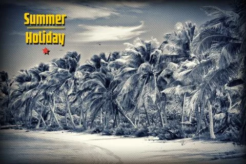 Untouched tropical beach Stock Illustration