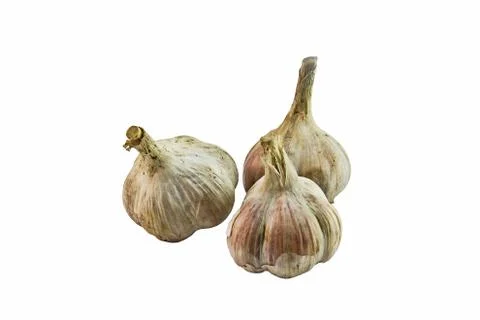 Untreated garlic grown in a household, isolated on a white background. Stock Photos