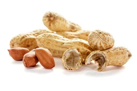 Untreated peanuts isolated on white background. Peanut. Stock Photos