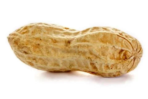 Untreated peanuts isolated on white background. Peanut. Stock Photos