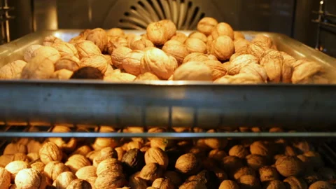 Untreated walnuts are dried on a baking sheet in the oven. Side view, real time, Stock Footage 97293419