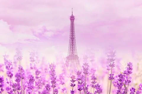 Untypical view of Eiffel Tower in Paris with lavender flowers Stock Photos