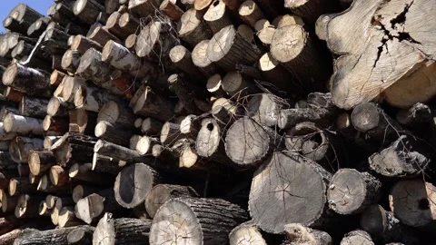 Unusable wood Stock Footage
