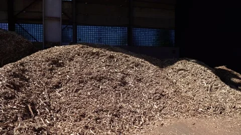 Unusable wood is wood chips as an alternative energy source Stock Footage 144365953