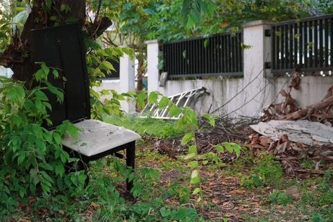 An unused bench lying under a tree Stock Photos