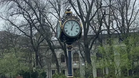 Unusual clock in the park and chamomile field under it. Stock Footage 237805249