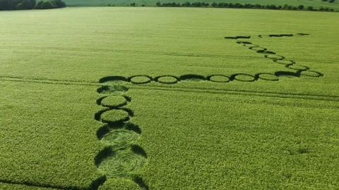 Unusual Crop Circle, Hackpen Hill, Wiltshire, 4 June 2022, UK, 4K Stock Footage 200980164