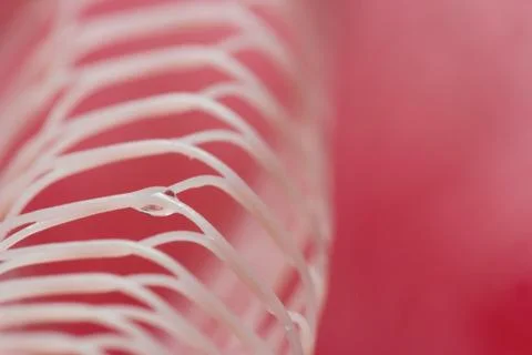 Unusual macro abstract background Stock Photos