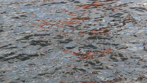 Unusual multicolored waves on the river Stock Footage 136583389