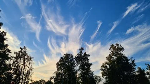 An unusual pattern of cirrus white clouds against the blue sky before sunset Foto stock