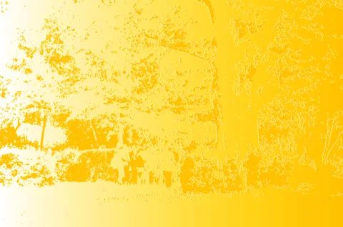 Unusual pattern in the form of a frame made of tree branches with monochrome  Stock Photos