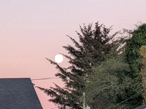 Unusual red sunset over rooftops and trees fills the sky Stock Photos
