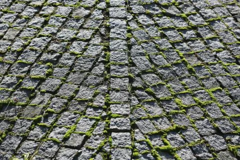 The unusual shape of the cobbles in three branches Stock Photos