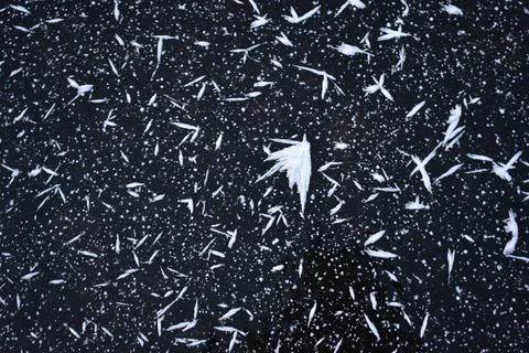 Unusual snowflakes Stock Photos