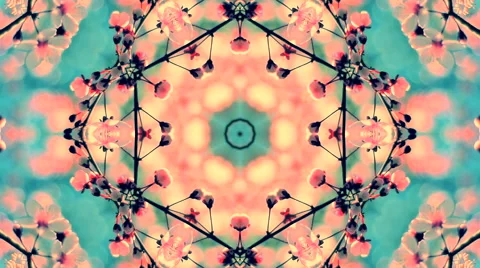 Unusual spring floral kaleidoscopic pattern with pink cherry flowers Stock Footage 61347548