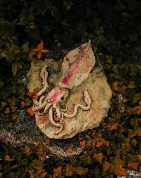 Unusual Squid Statue in the Forest Stock Photos