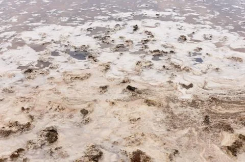 Unusual waves of clay on the shore of the salt lake Sasyk-Sivash. Stock Photos