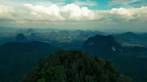 Unveiling nature Stock Footage 231134784