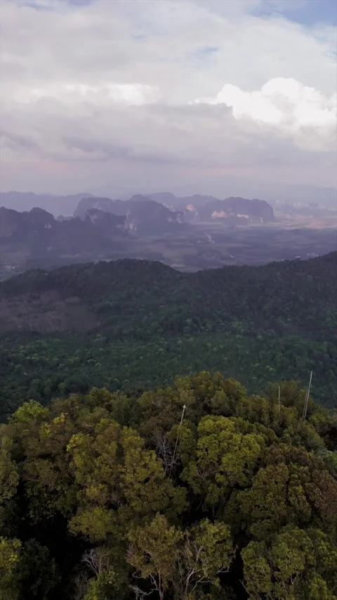 Unveiling nature Stock Footage 231134866