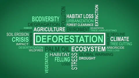 Unveiling Perspectives: A Dynamic Concept of Deforestation Related Themes Stock Footage 258473814