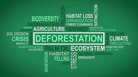 Unveiling Perspectives: A Dynamic Concept of Deforestation Related Themes Stock Illustration
