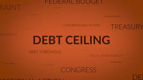 Unveiling Perspectives: A Dynamic Zoom into Debt Ceiling Related Themes Stock Footage 256163487