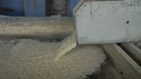 Unveiling the Rice Mill Machine - The Heart of Efficient Grain Processing Video stock 320936400