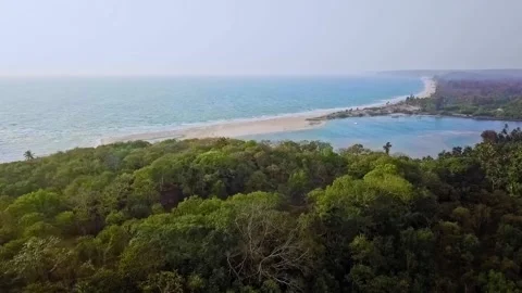 Unveiling the sea view from forest Stock Footage 133245299