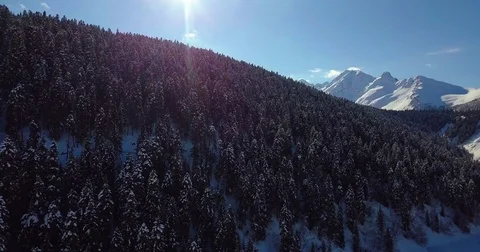 Unveiling shot in the mountain's forest. Video stock 85109024