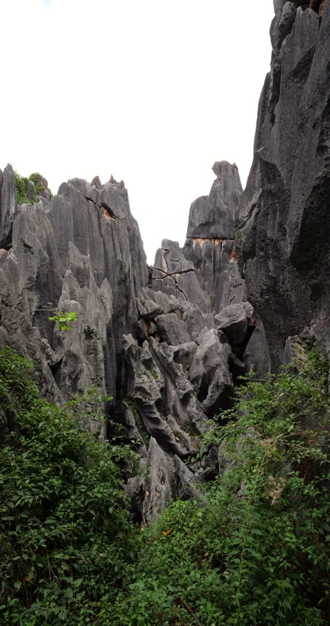 Unwalkable gorge with fallen limestone rocks at Shilin Stone Forest Видео 329622365