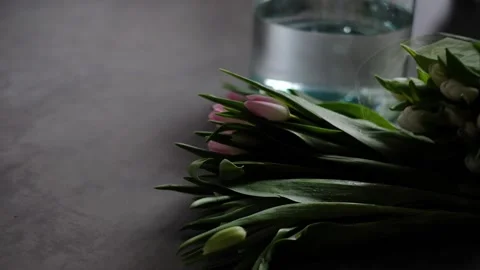 Unwrapping flowers Video stock 233512890
