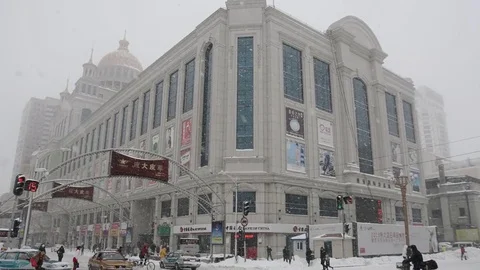 An unyielding blizzard Vídeo Stock 85214867