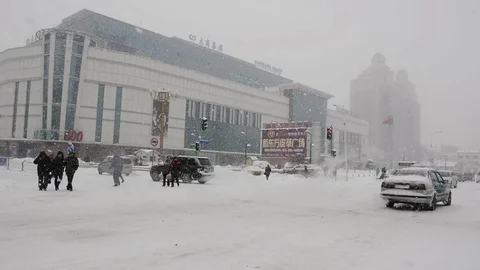 An unyielding blizzard Vídeo Stock 85215096